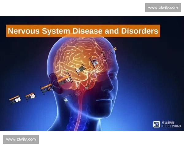 高效蛋白补充方案助力健康增肌与体能优化 高效蛋白补充方案助力健康增肌与体能优化